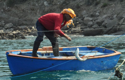 Dalgaya Direnmek | Resisting the Waves