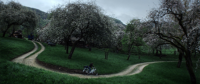 Patika | The Country Road