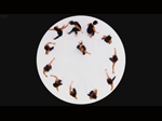 Circle