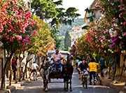 Buyukada Prince Island Istanbul
